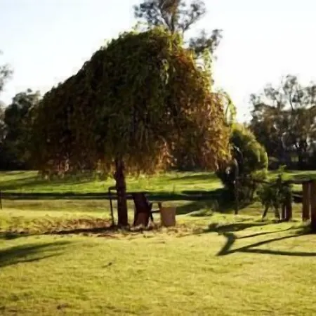 Lazy River Boutique Bed & Breakfast-2